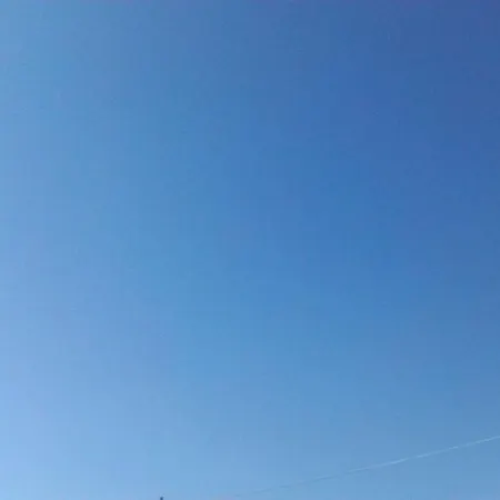 Alba *